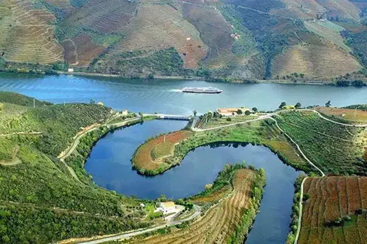 "Douro Queen", круиз.webp