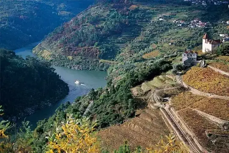 "Douro Queen", круиз.webp