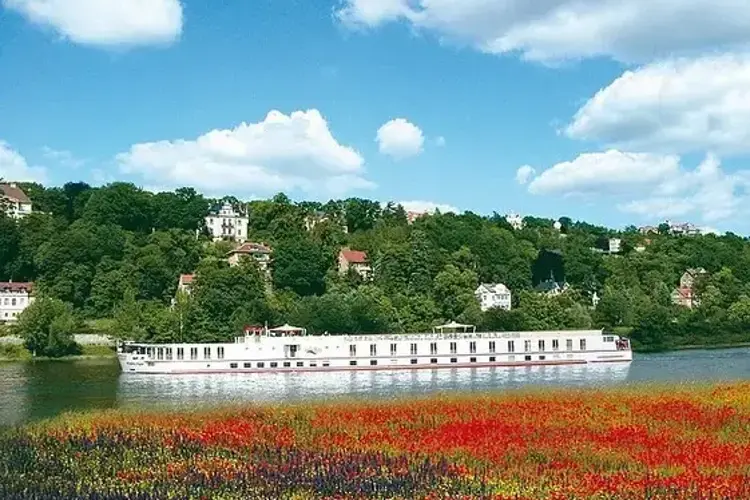 MS Frederic Chopin.webp