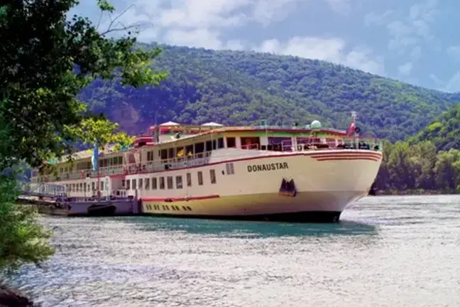 MS Donaustar.webp