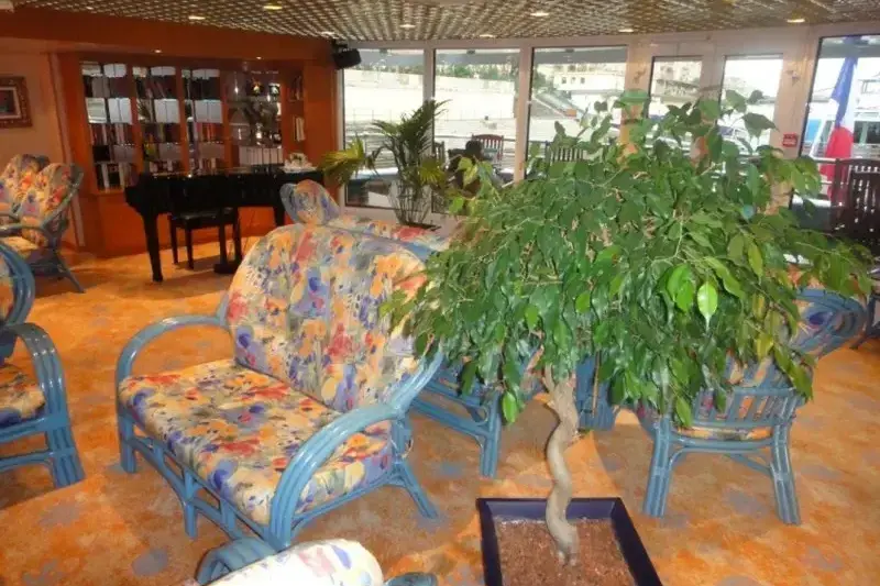 Салон с роялем на корме.webp