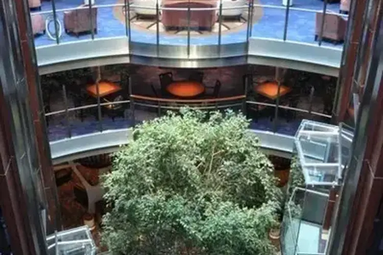 Celebrity Silhoette.webp