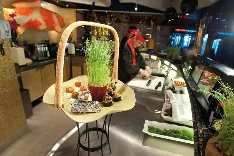 Carnival Breeze.webp