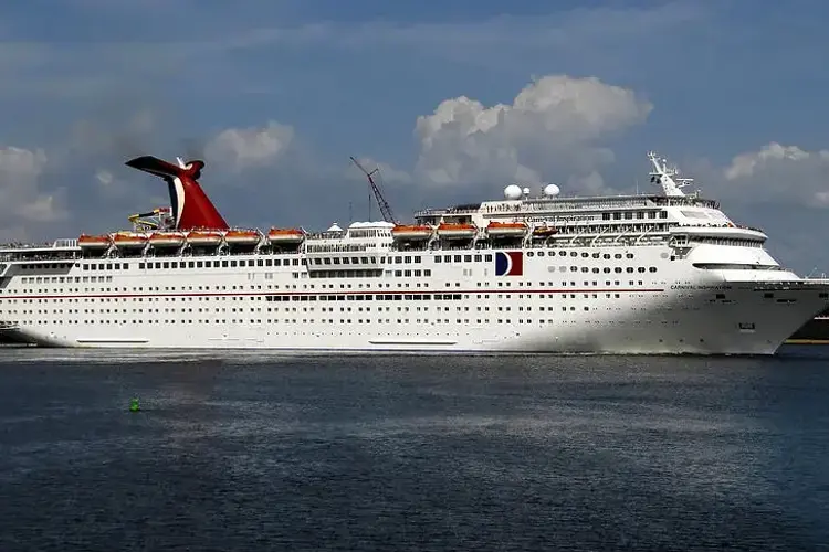 Carnival Inspiration.webp