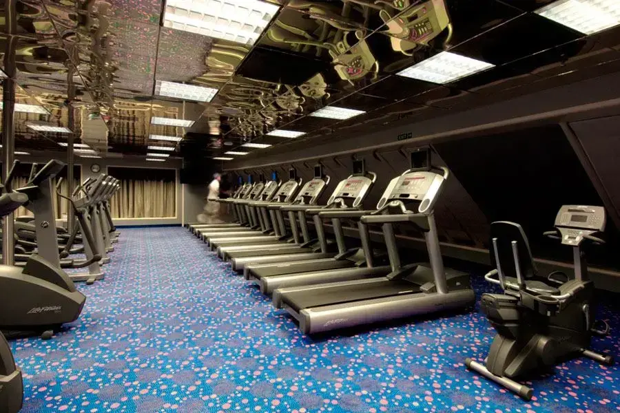 Carnival Inspiration.webp