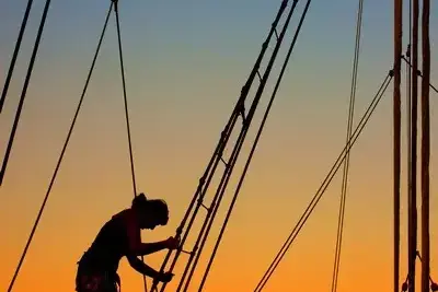 Running on Waves .webp