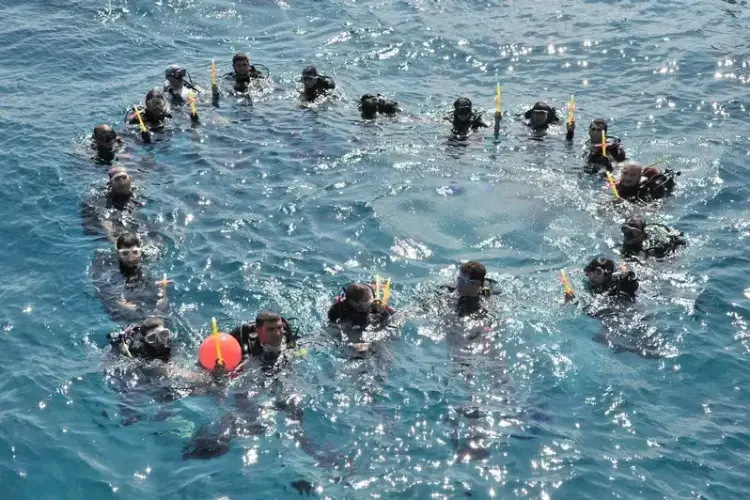 Running on Waves .webp