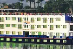 MS "Nile Excellence" Description.webp