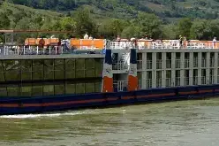 MS "Flamenco" Description.webp