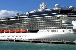 Celebrity Silhouette Description.jpg