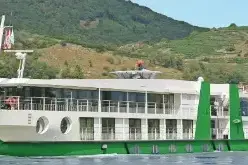 DCS Amethyst Description.webp