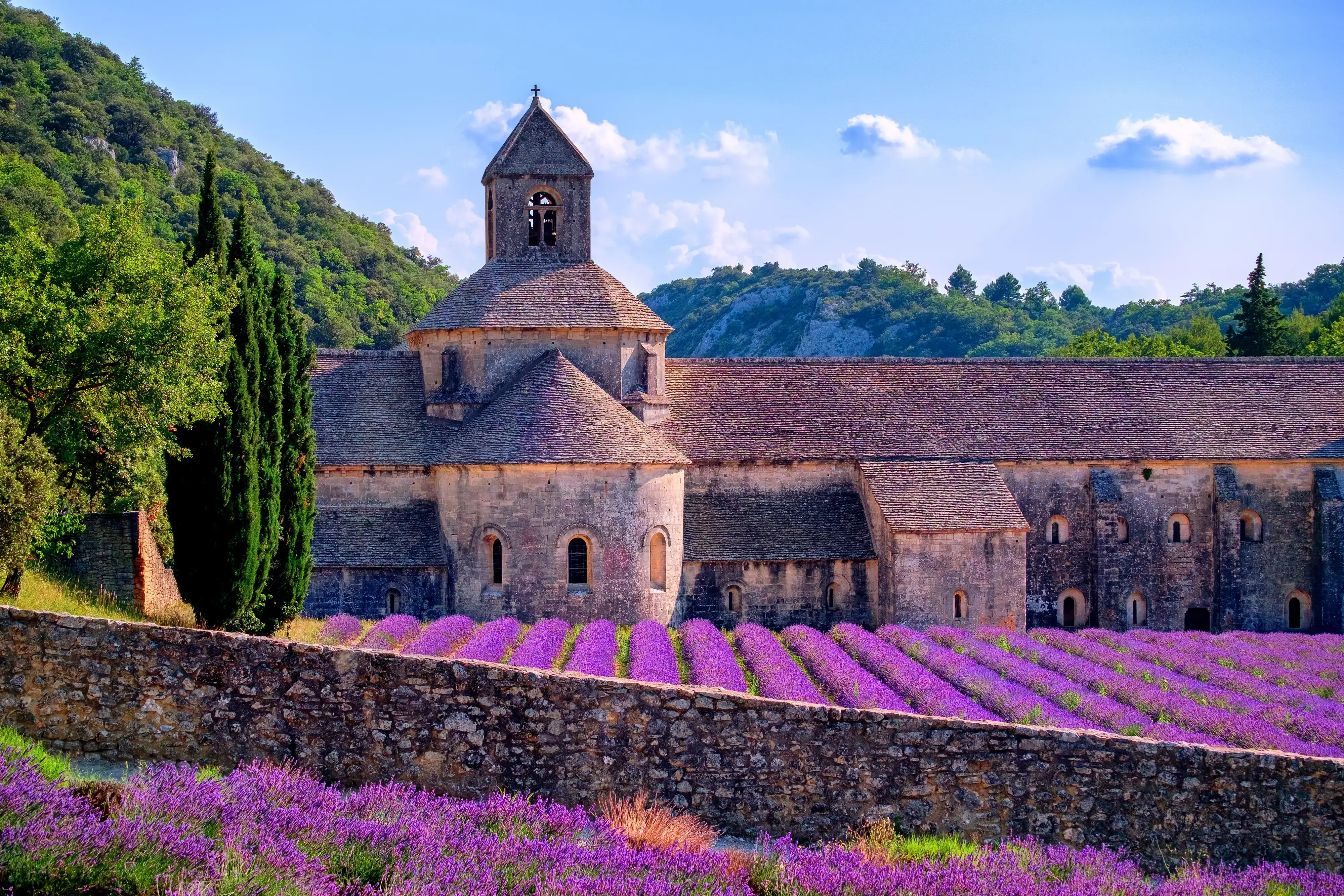 Lueftner_Cruises_Amadeus_Provence_France__c_shutterstock_384685444.webp