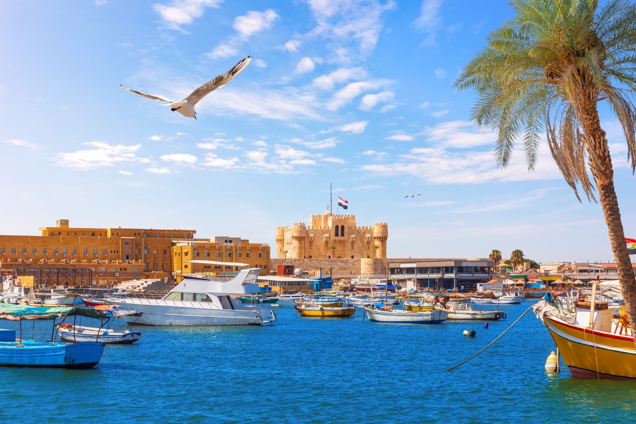 282_Alexandria.jpg