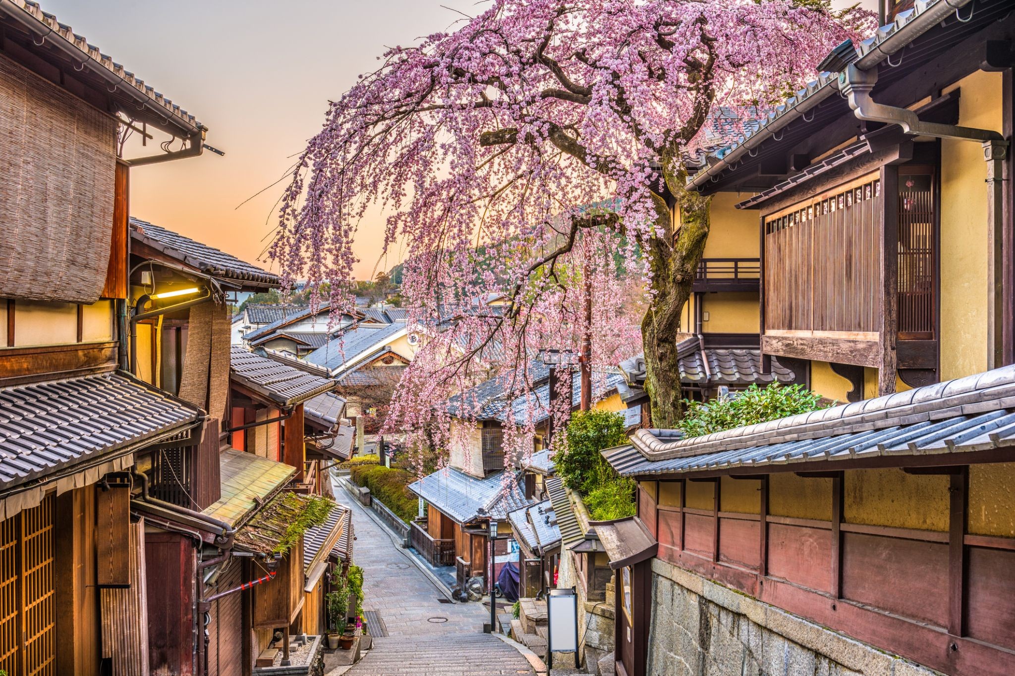 313_Kyoto.jpg