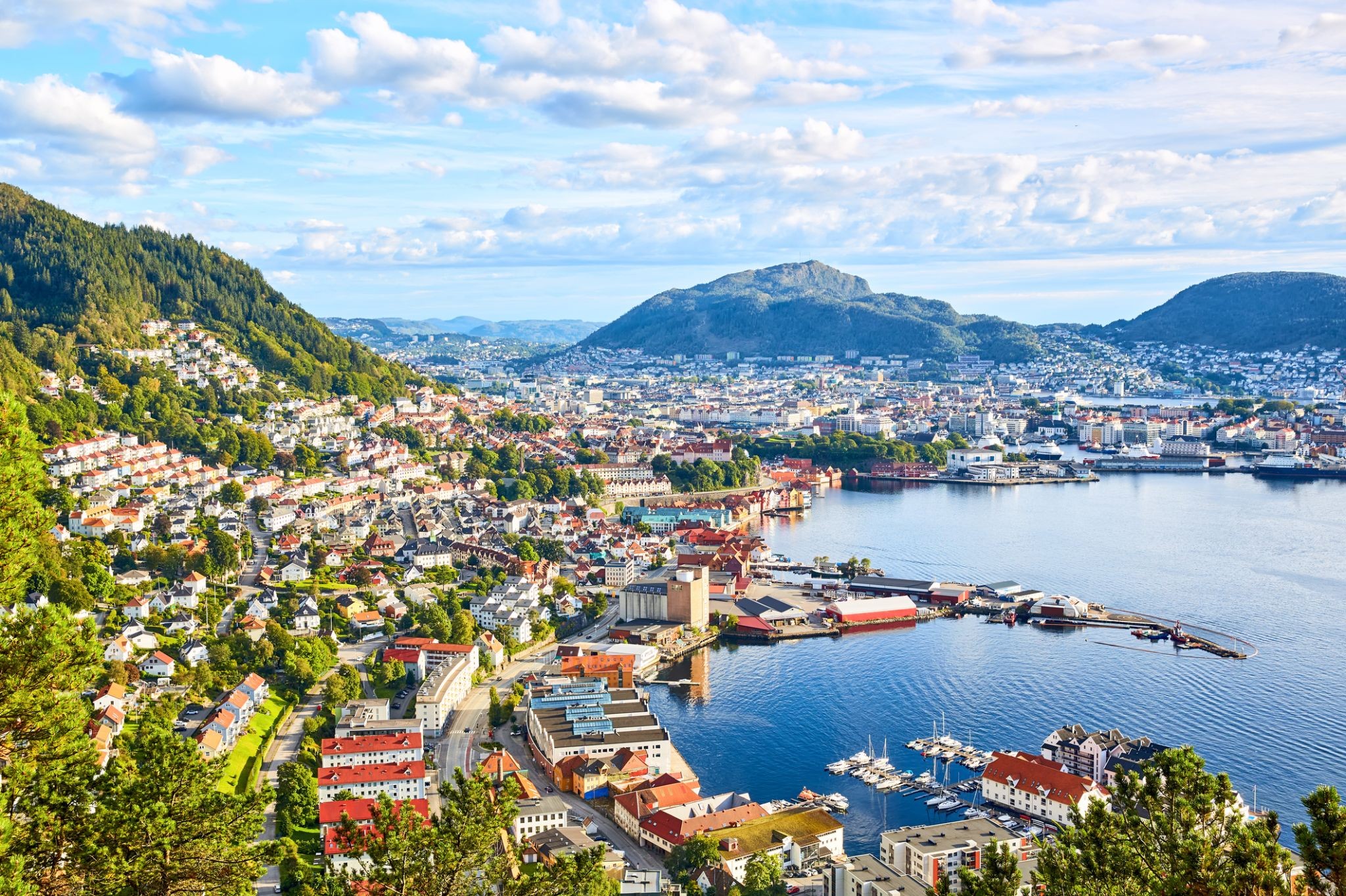 352_Bergen.jpg