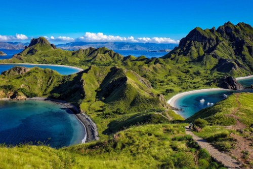 Komoda / Indonezja