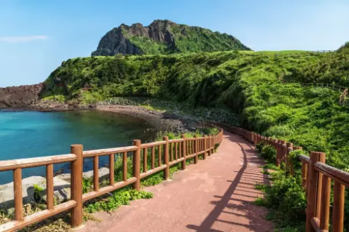 Jeju (Gangjeong) / Korea