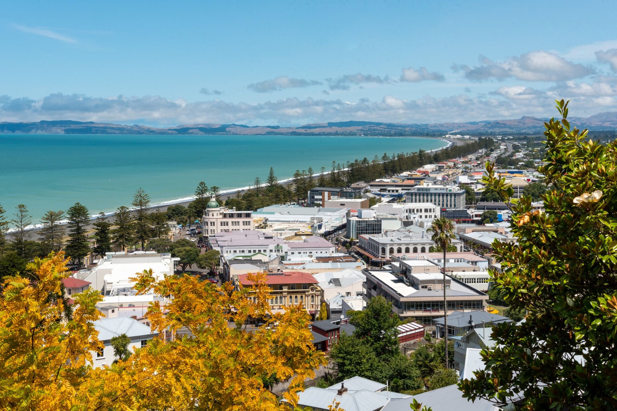 530_Napier.jpg