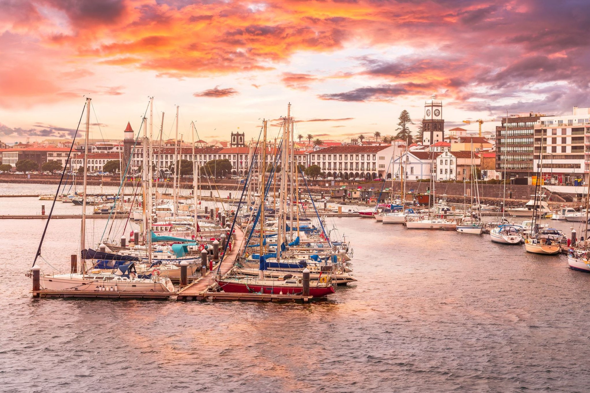 560_Ponta Delgada, San Miguel.jpg