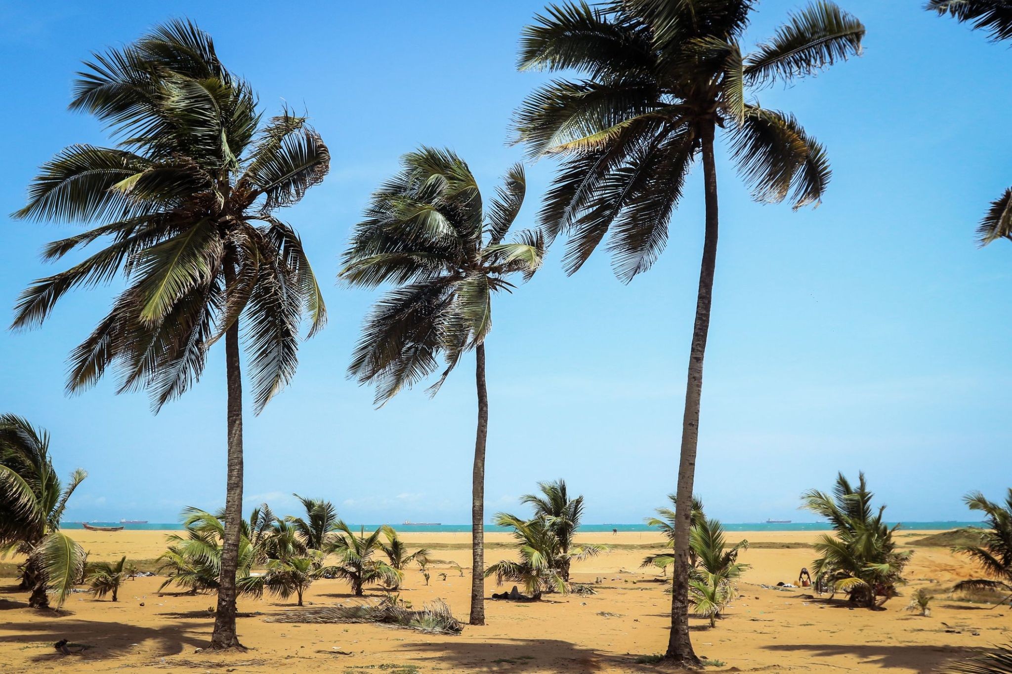 683_Lome.jpg