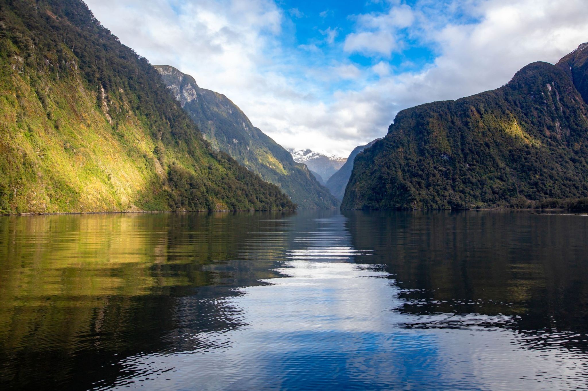 34880_Doubtful Sound fjord.jpg