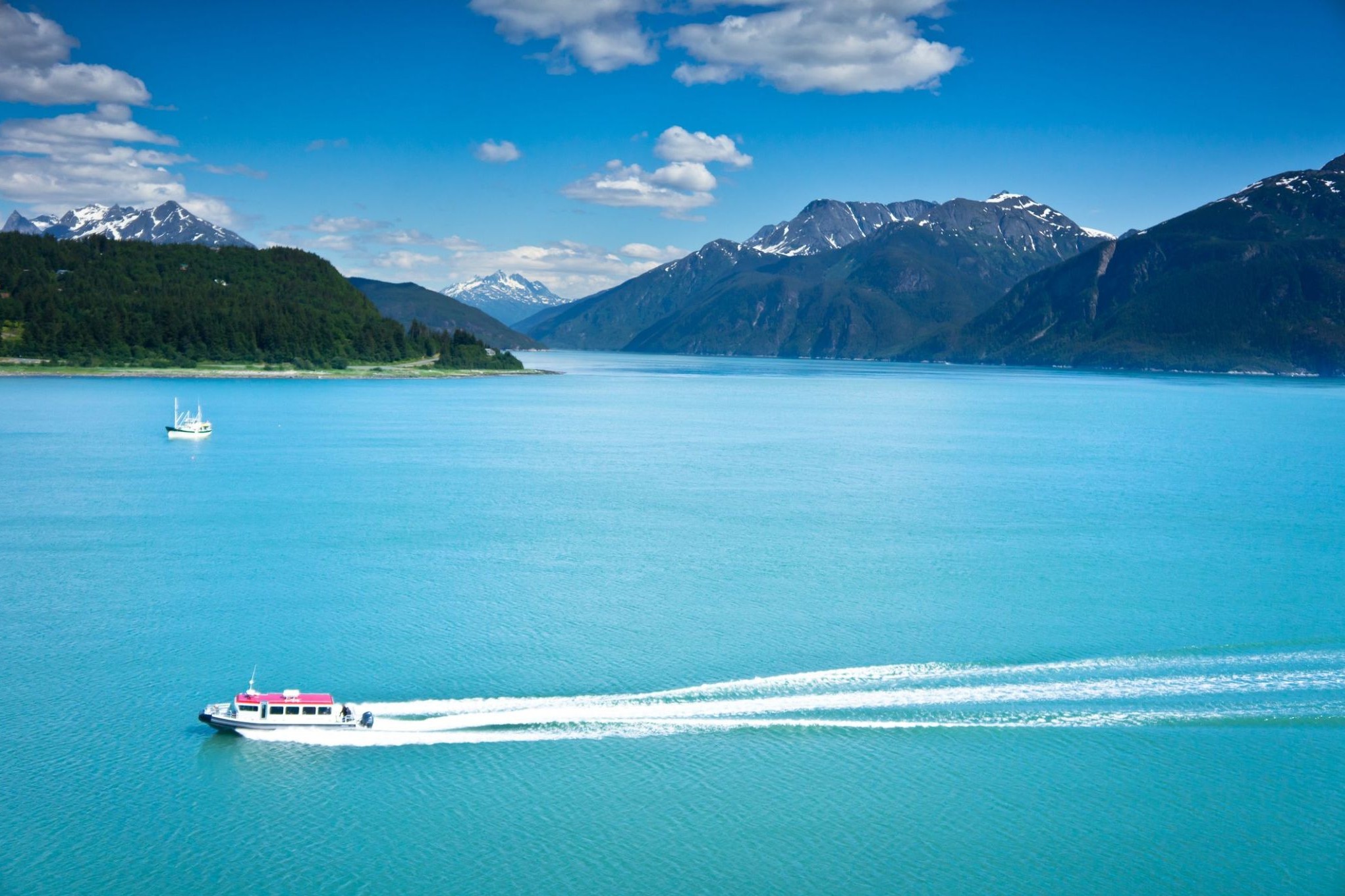 36753_Haines.jpg
