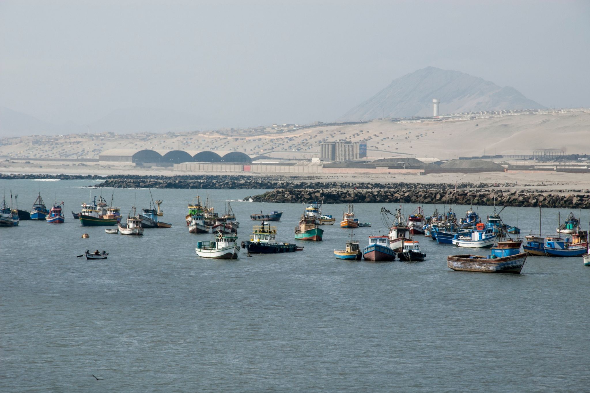46636_Salaverry.jpg
