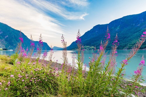 Skjolden / Норвегия