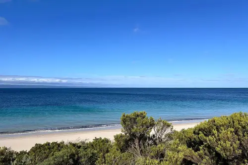 Królowie / Australia