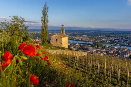 Ten-l'Hermitage / France