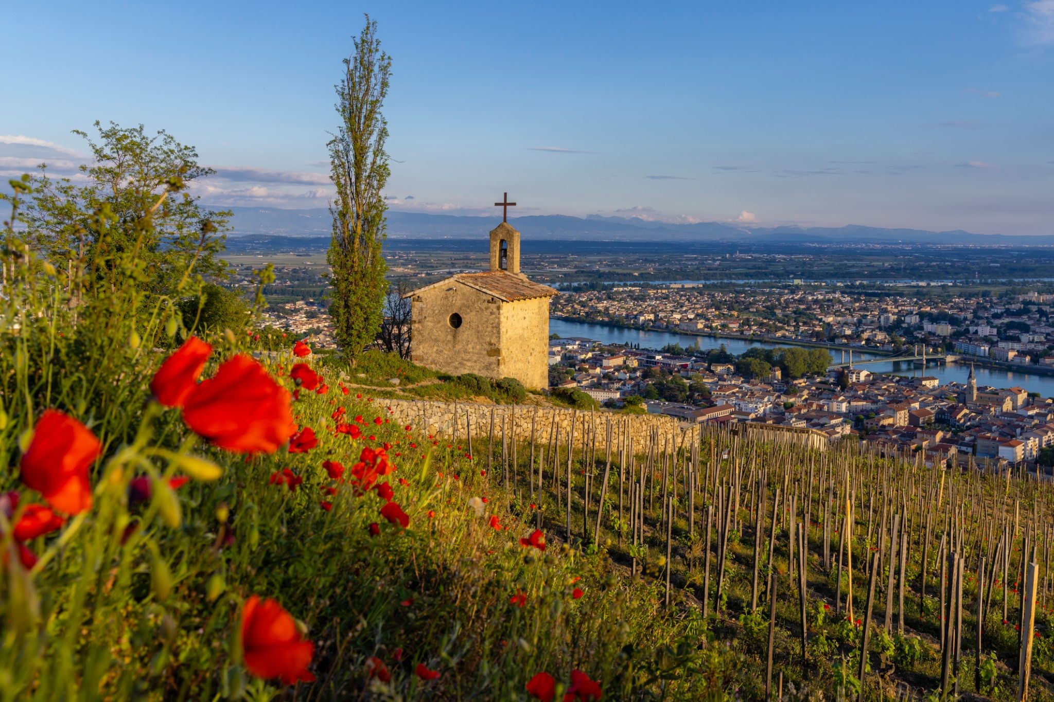 85_Tain-l'Hermitage .jpg