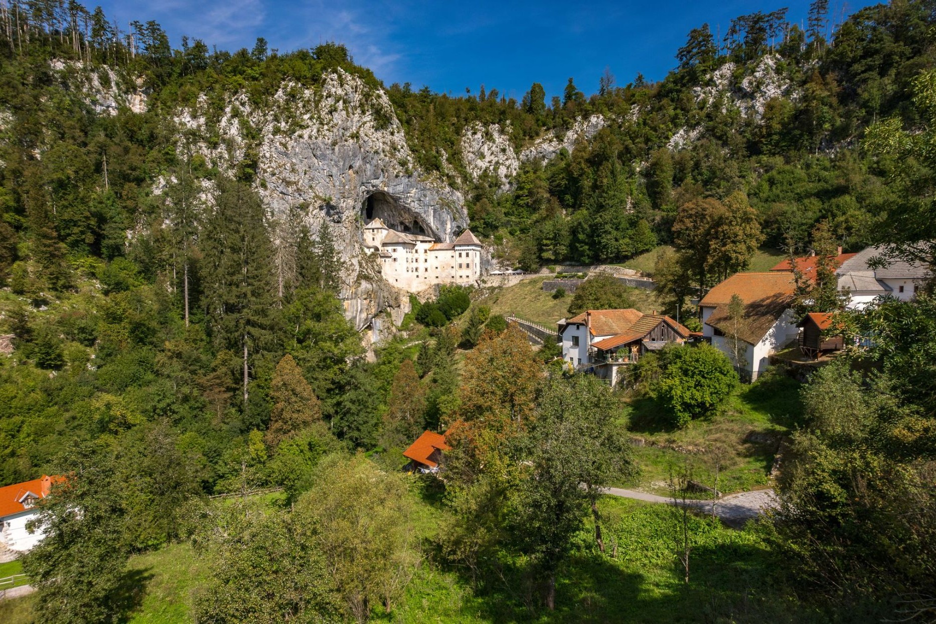 2389997_Postojna.jpg