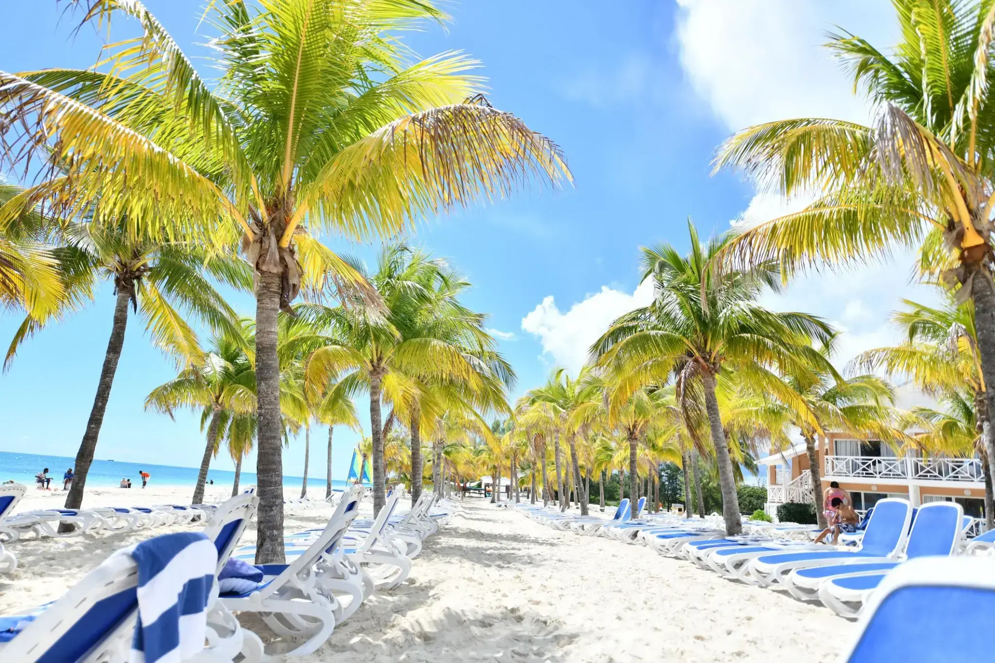 34843_ Grand Bahama.webp