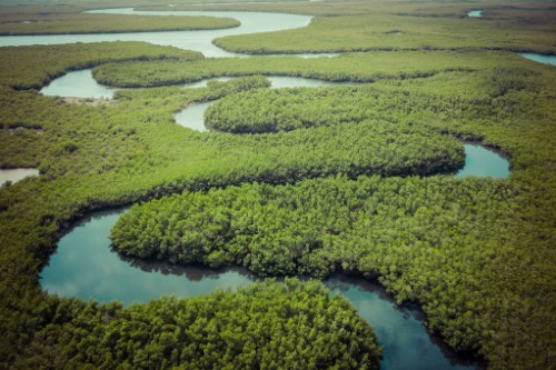 Amazonia – Rejs