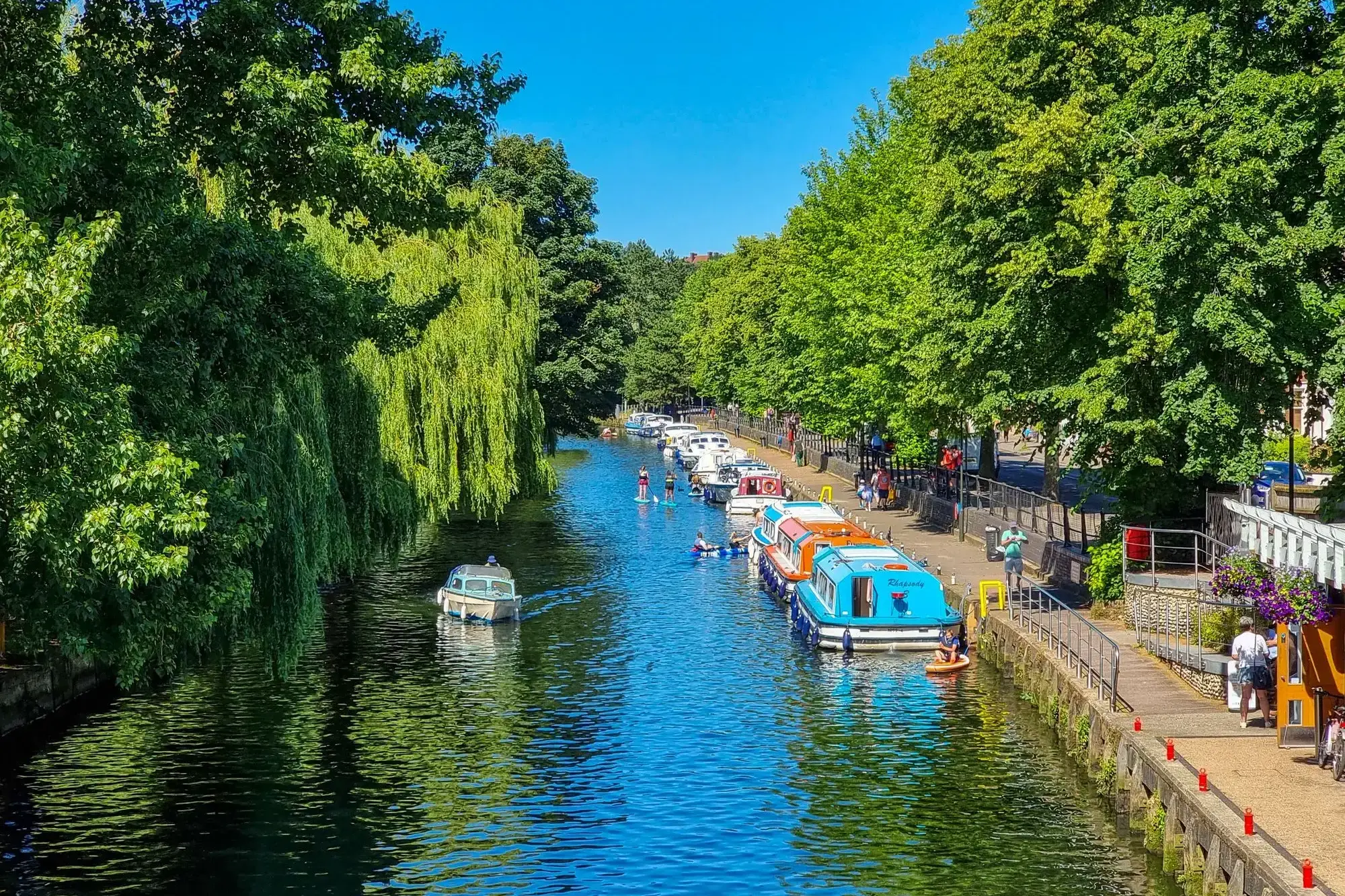 2389514_Am Kustenkanal (Coastal Canal).webp