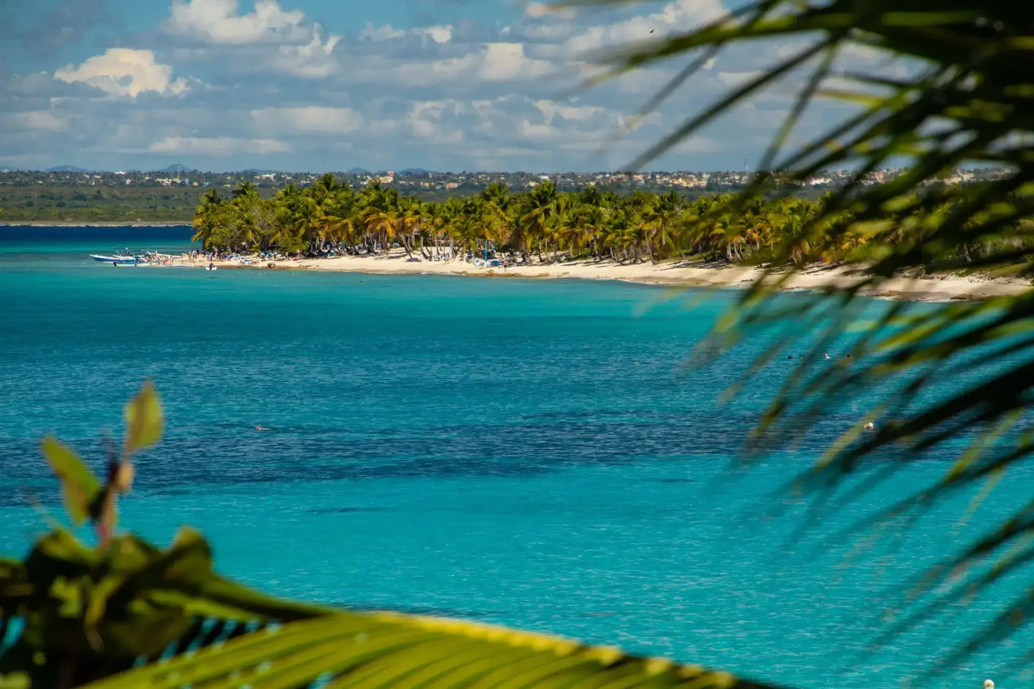 37163_Catalina Island (Dominican Republic).webp