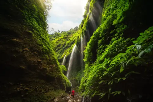 Probolinggo / Indonezja