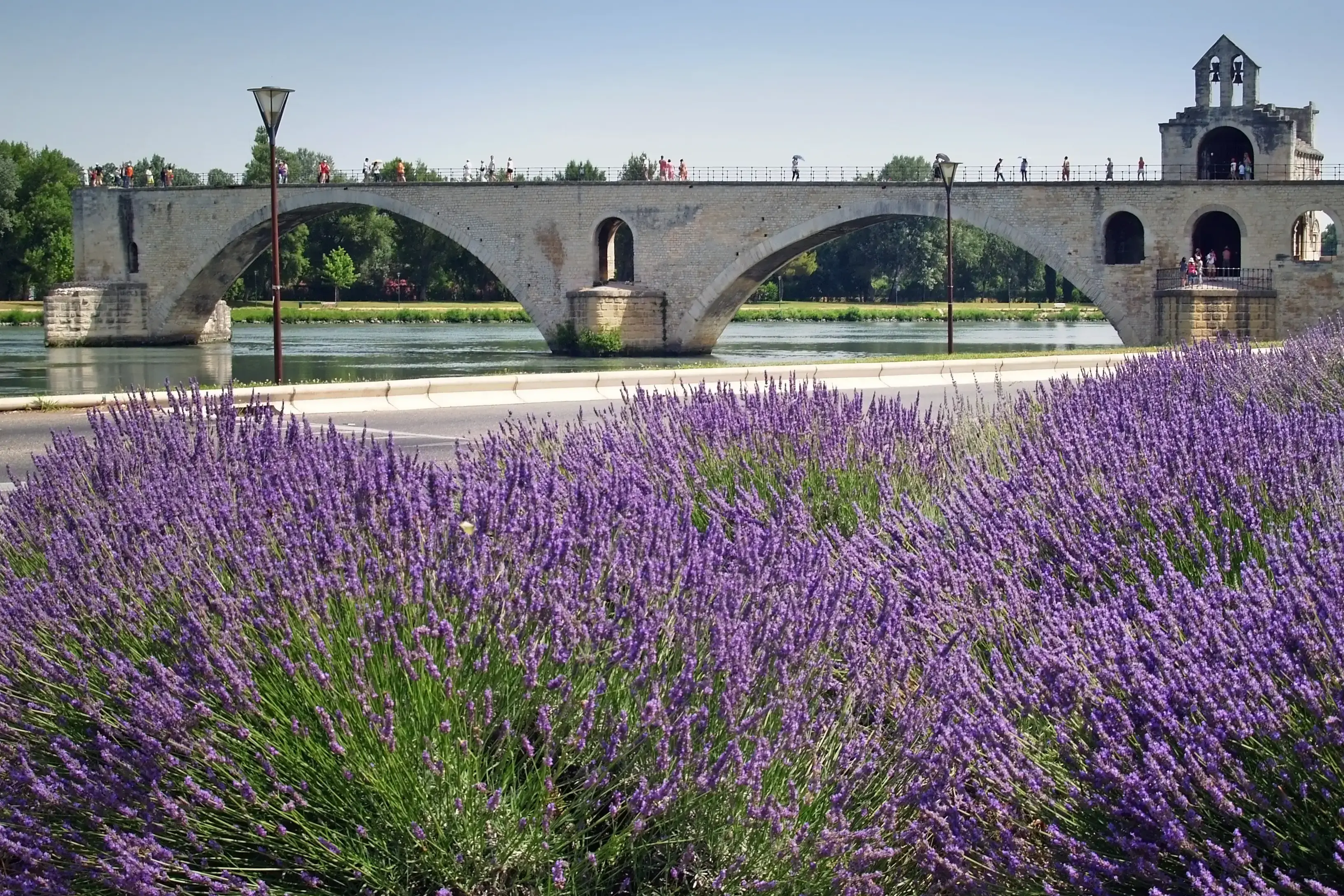 avignon-adobestock-43384756.webp