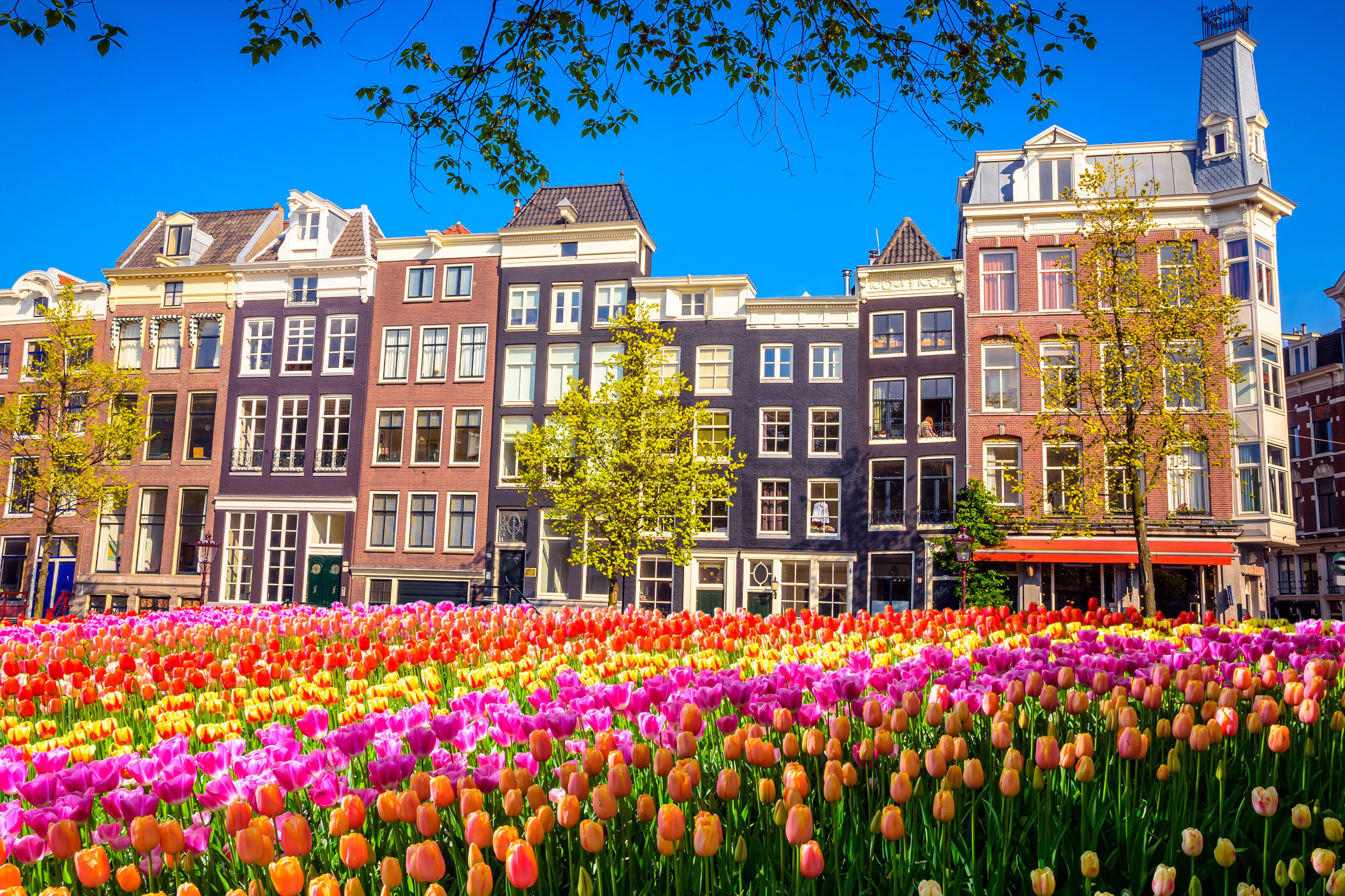 amsterdam-adobestock-183173323.jpeg