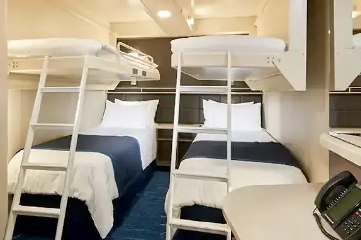 3 norwegian_joy_i.webp