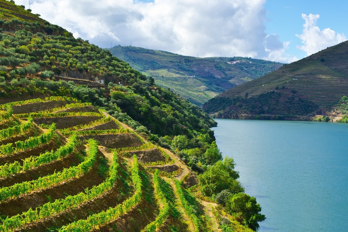 csm_AdobeStock_57902262_Douro_fa2f1999aa.jpeg