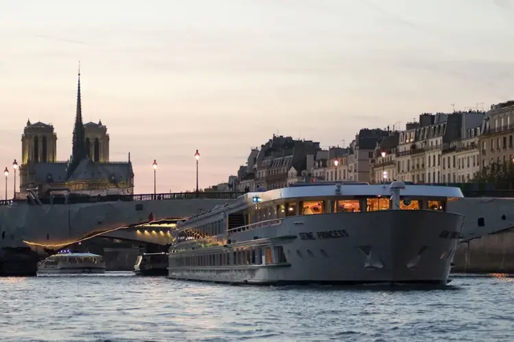 sp-notredame.webp