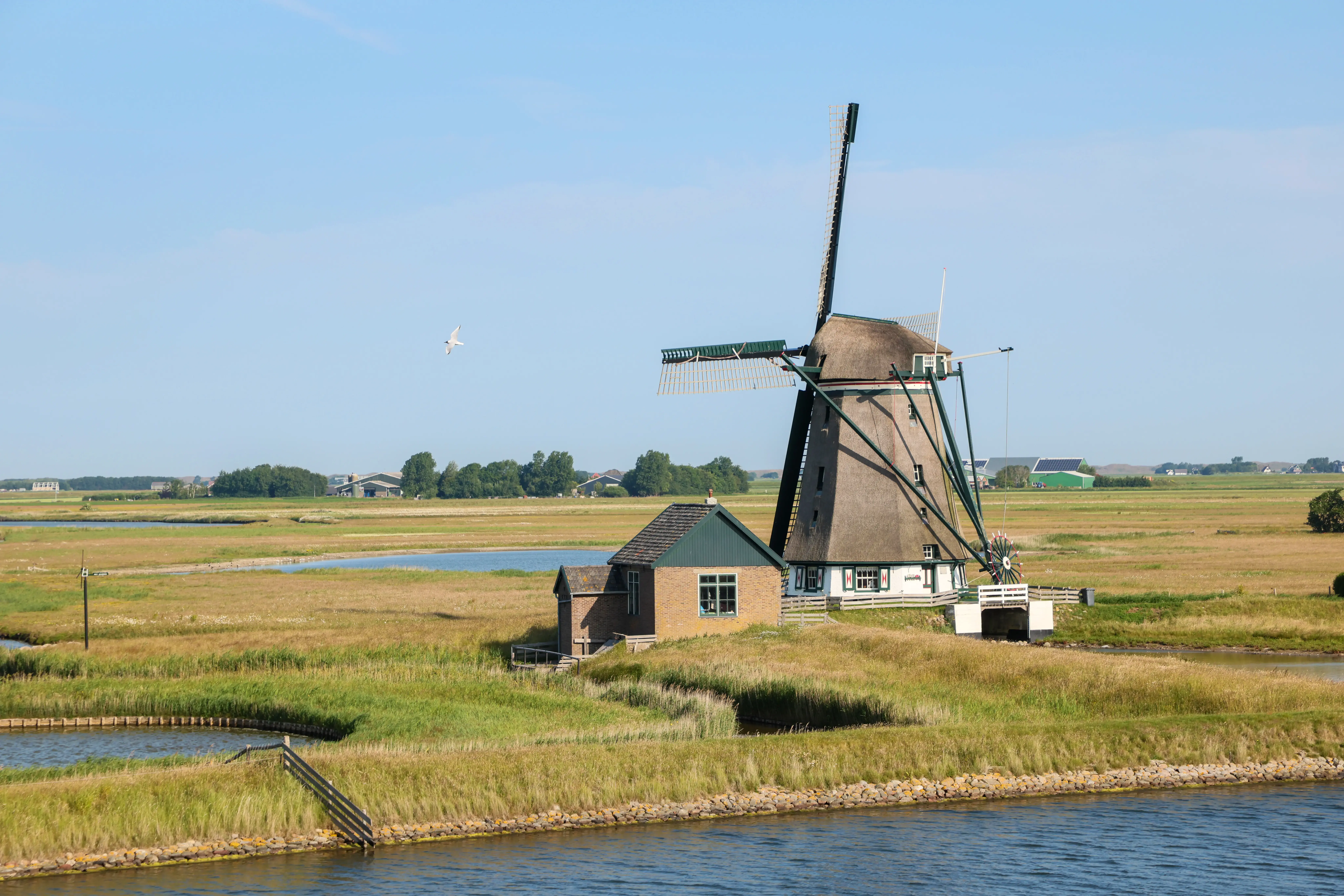 viva-tiara-texel-impressions-17-06-2025-02.webp