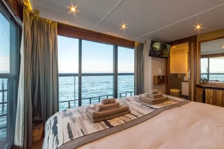 cabine-vue-vers-exterieur-rv-african-dream.webp