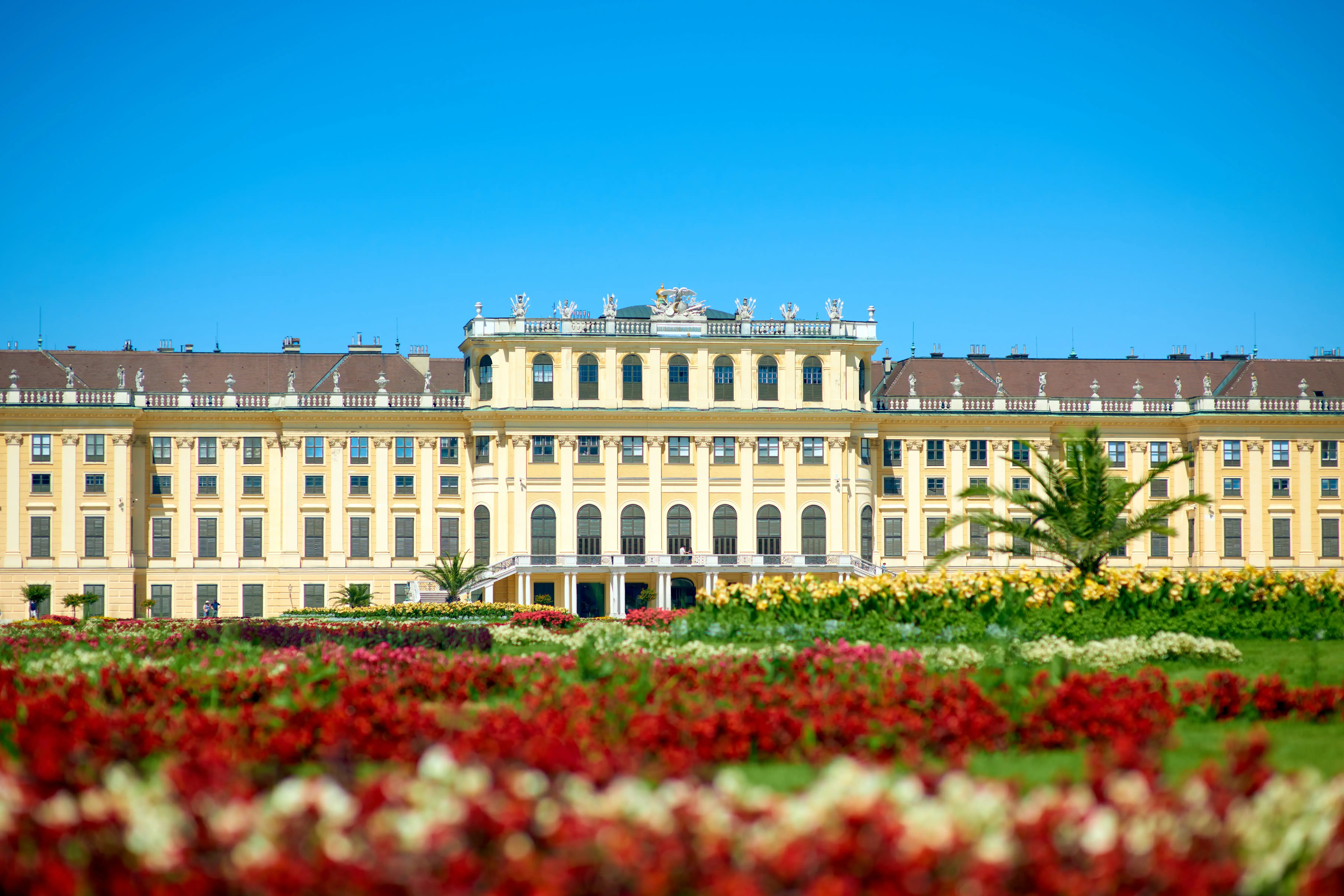 wien-adobestock-648655202.webp